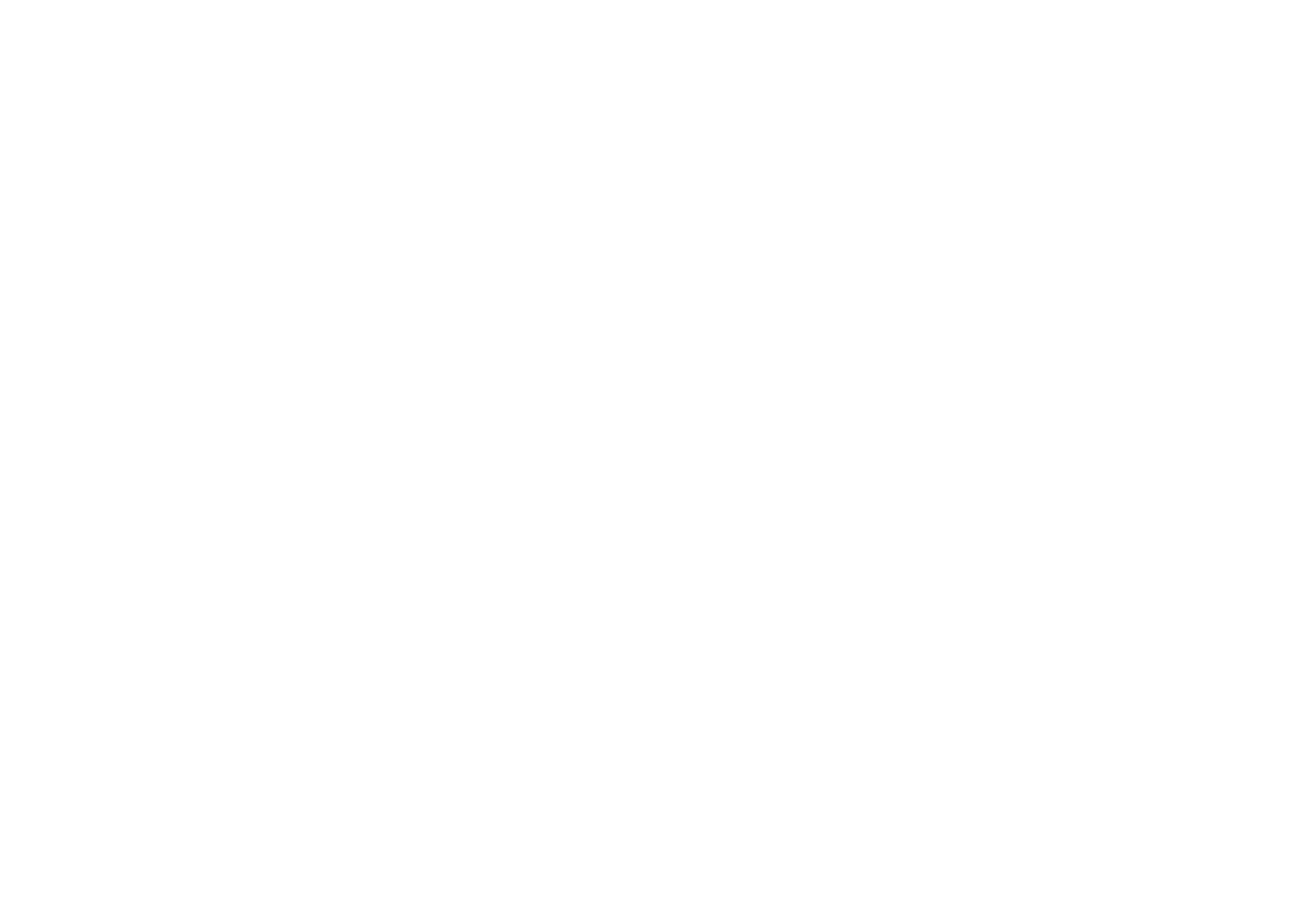 Logo Burn Eidel